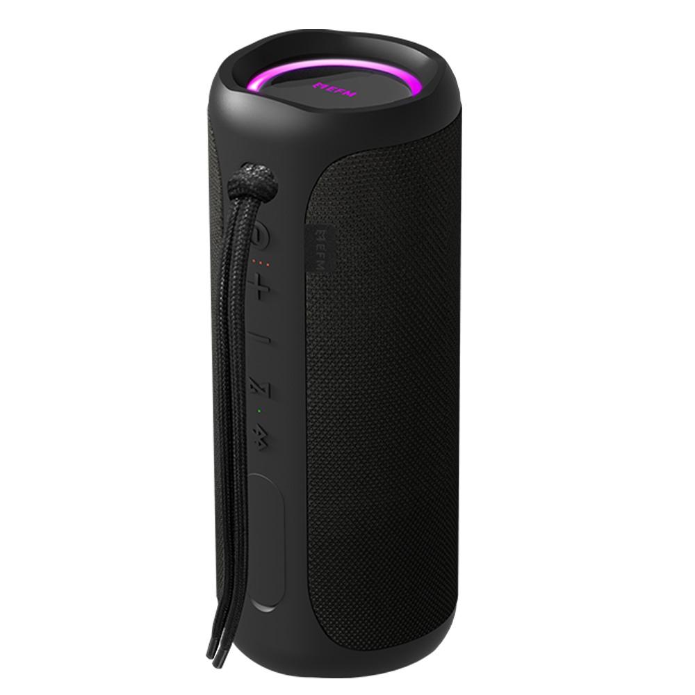 EFM Austin Pro 40W Bluetooth Speaker